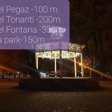 Studio Dunja Vrnjacka Banja Bagian luar foto