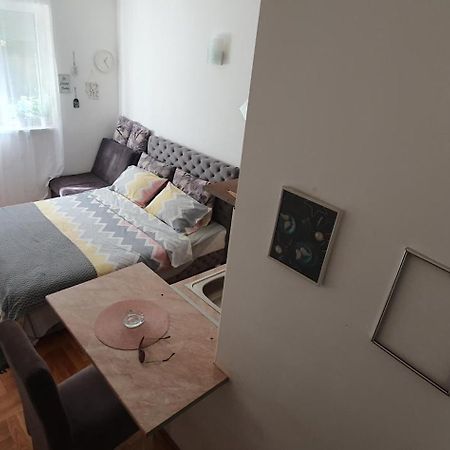 Studio Dunja Vrnjacka Banja Bagian luar foto