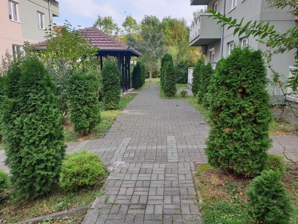 Studio Dunja Vrnjacka Banja Bagian luar foto