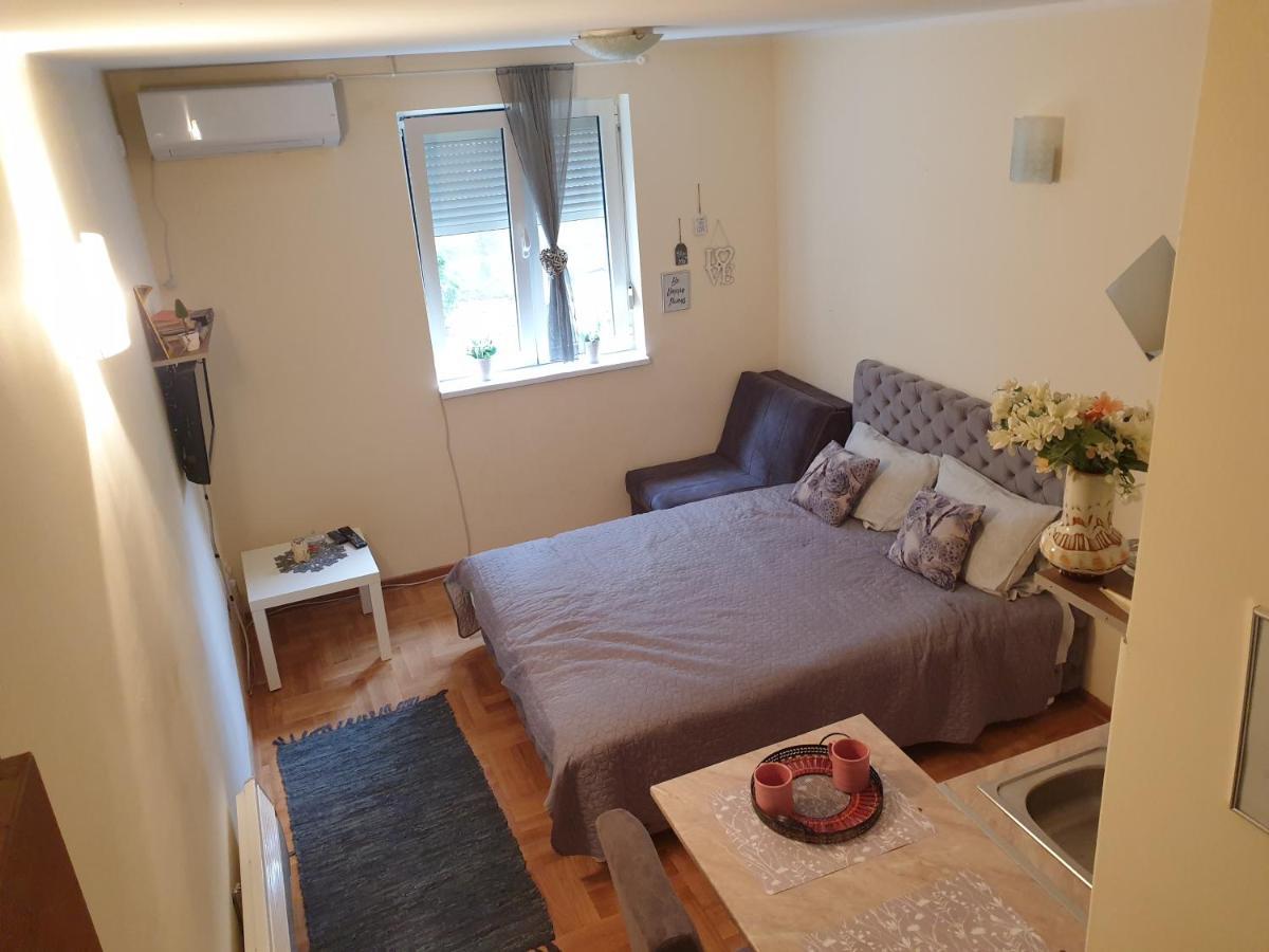 Studio Dunja Vrnjacka Banja Bagian luar foto