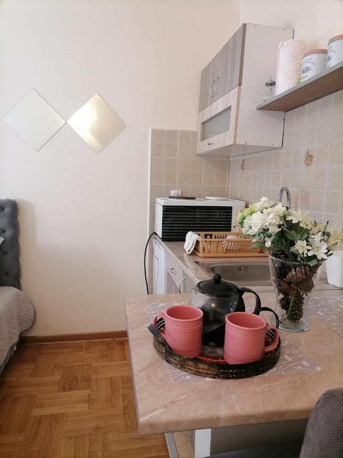 Studio Dunja Vrnjacka Banja Bagian luar foto