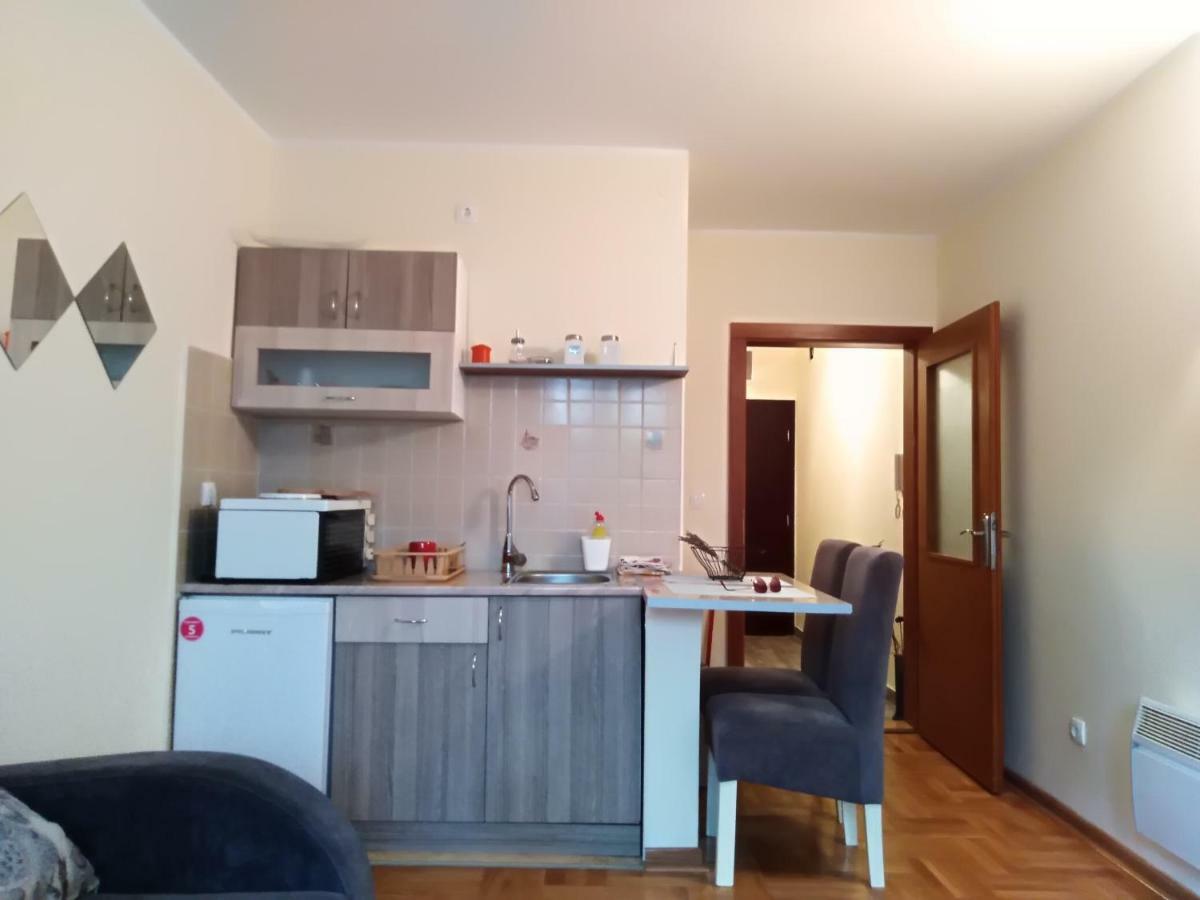Studio Dunja Vrnjacka Banja Bagian luar foto
