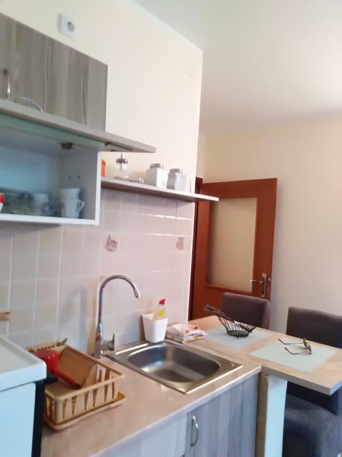 Studio Dunja Vrnjacka Banja Bagian luar foto