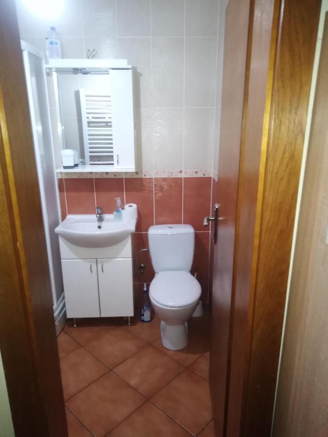 Studio Dunja Vrnjacka Banja Bagian luar foto
